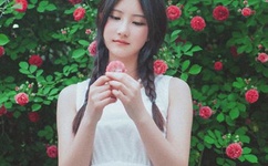 拜托小姐的主题曲